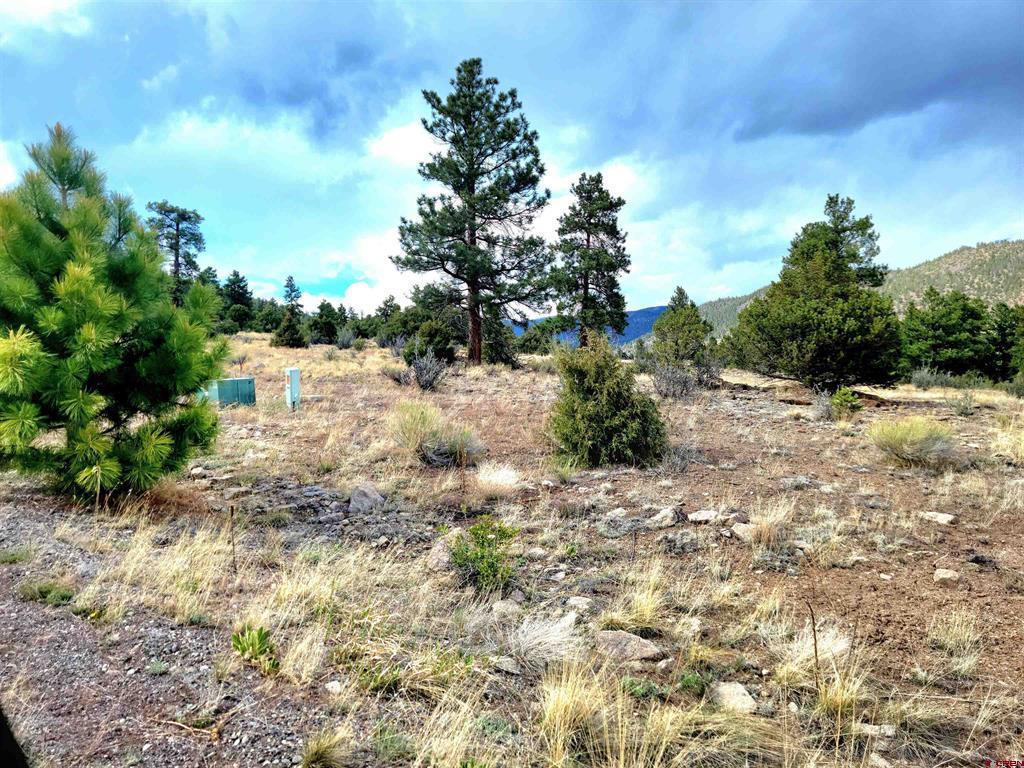 (TBD) Little Bear Circle Lot 41 South Fork, CO 81154
