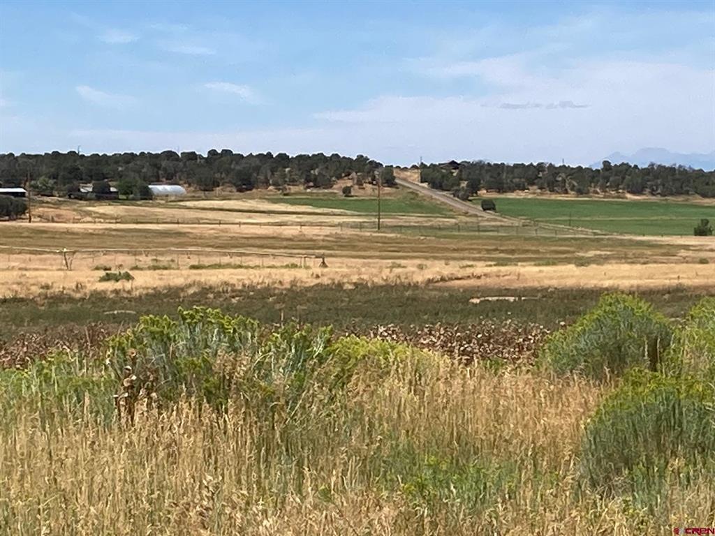 80 AC TBD 42ZS Road Norwood, CO 81423