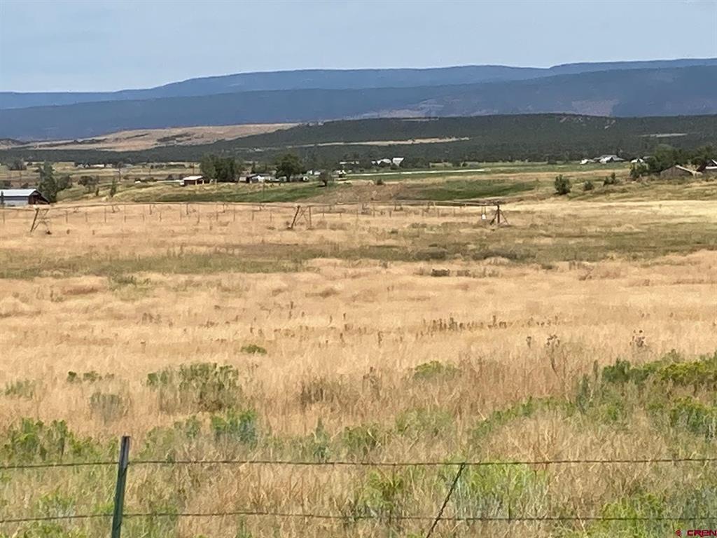 80 AC TBD 42ZS Road Norwood, CO 81423