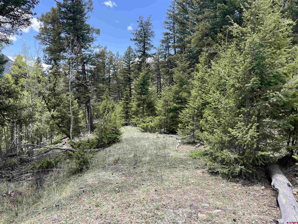 (TBD) Blk 92 Lots 4-6 Jasper, CO 81144