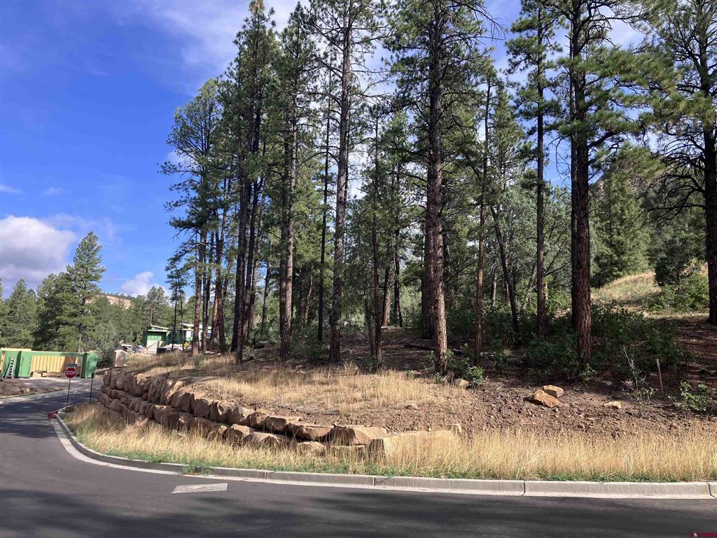 53 Snowdrop Ct. (Lot 140) Durango, CO 81301