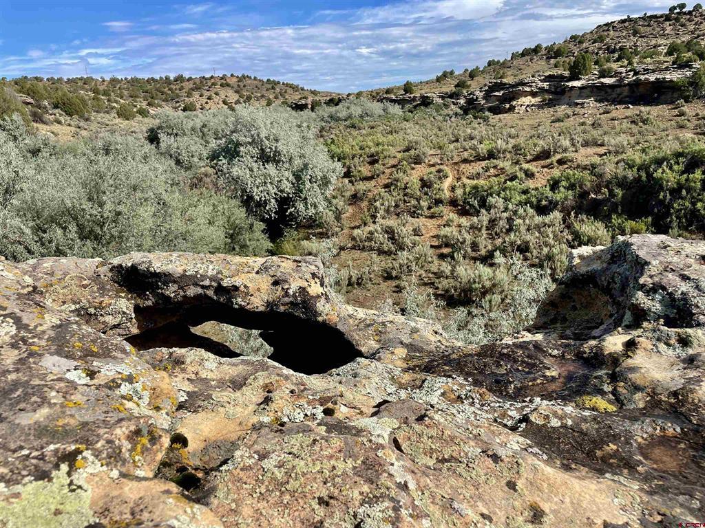Tract 10 Road K.3 Cortez, CO 81321