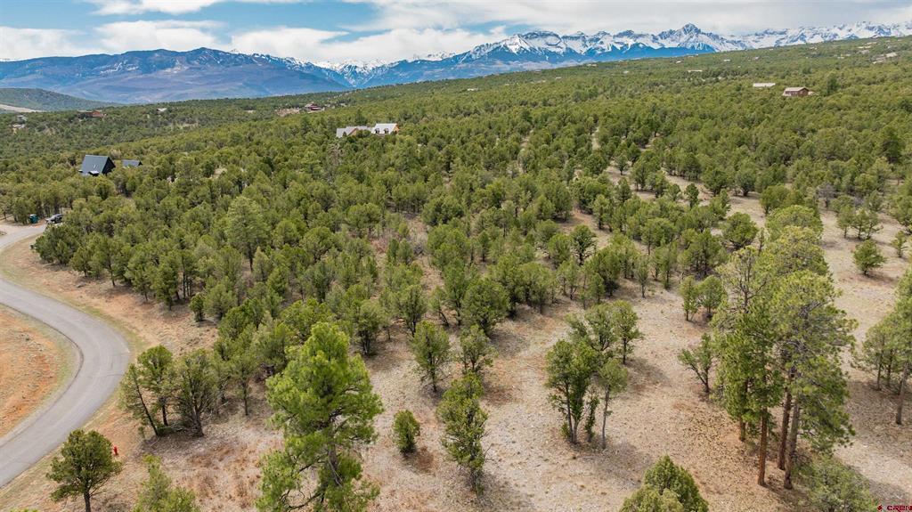 Lot 6 Waterview Court Ridgway, CO 81432