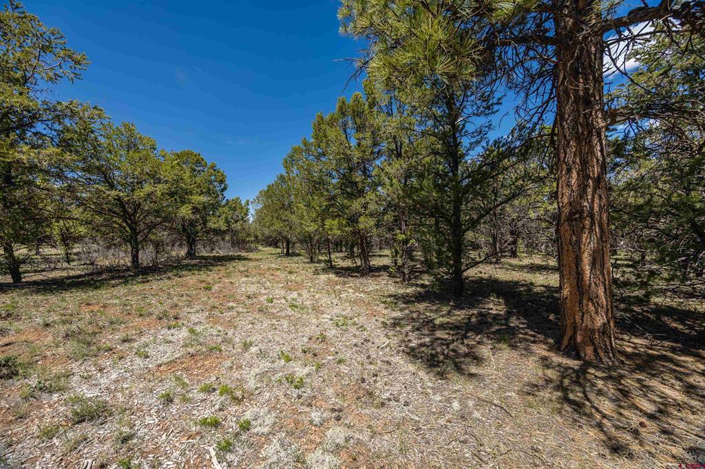 Lot 6 Waterview Court Ridgway, CO 81432