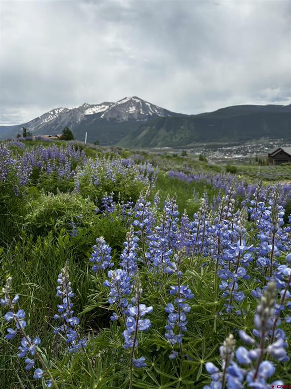 57 Summit Road Mount Crested Butte, CO 81225