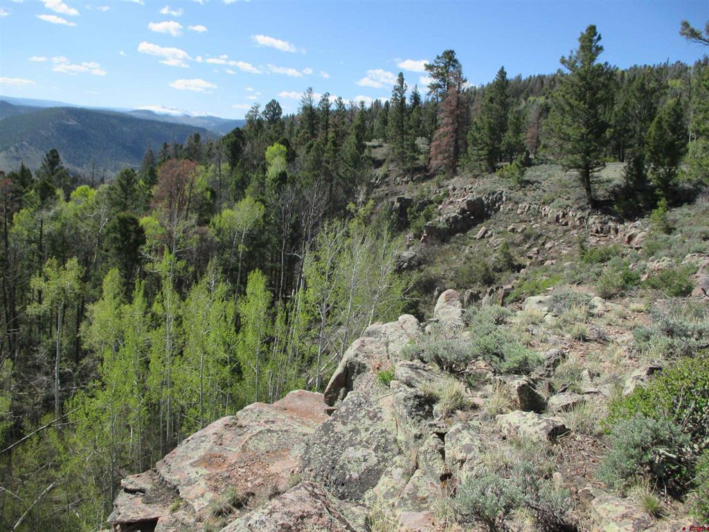 L51/U2 Mosquito Way Powderhorn, CO 81243