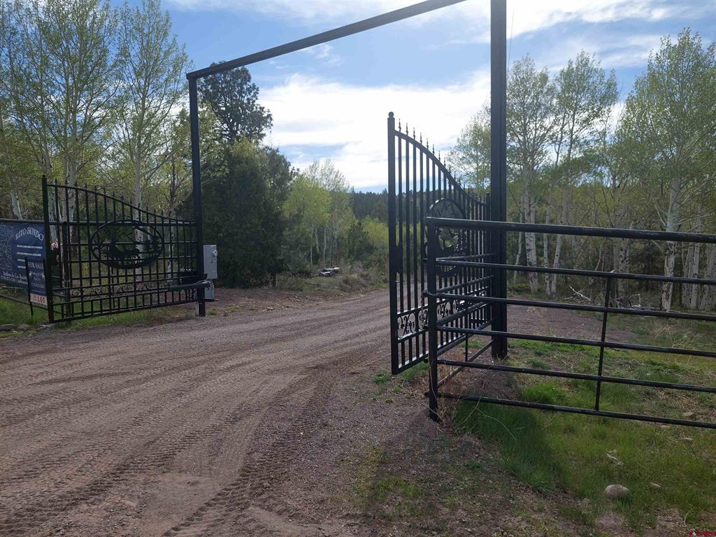 01195 Rito Hondo Rd Antonito, CO 81120