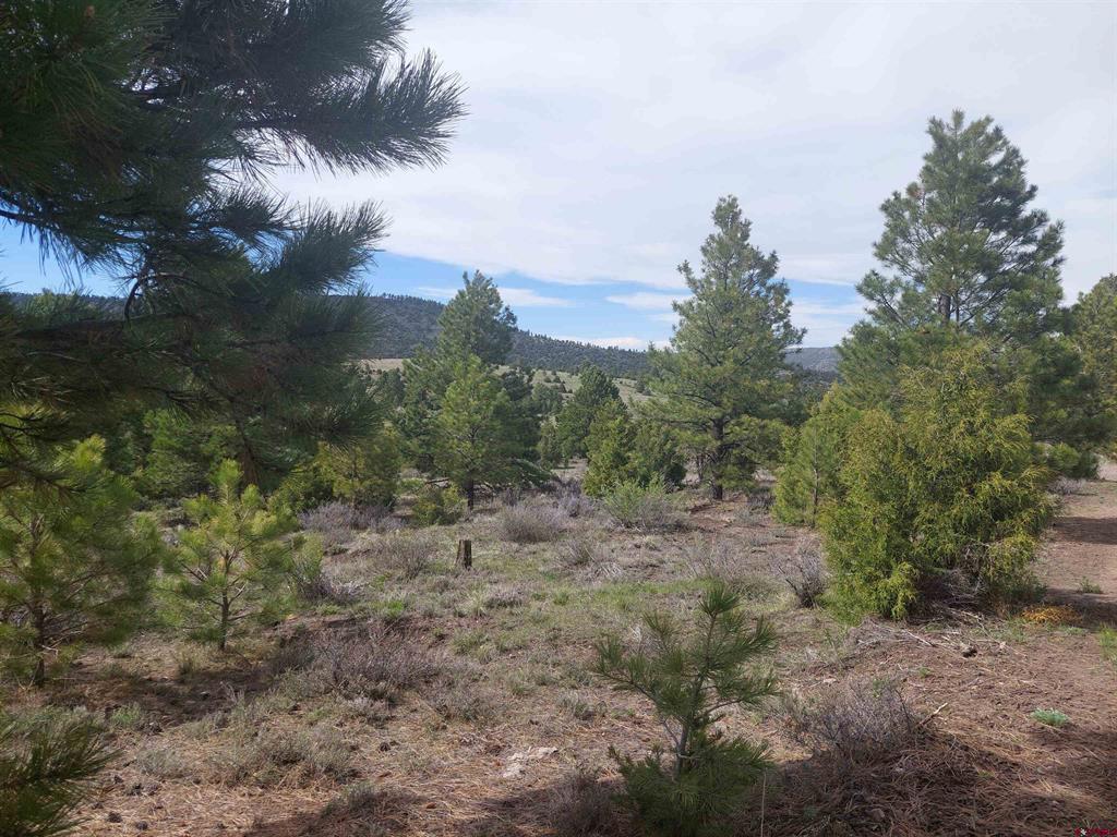 01195 Rito Hondo Rd Antonito, CO 81120