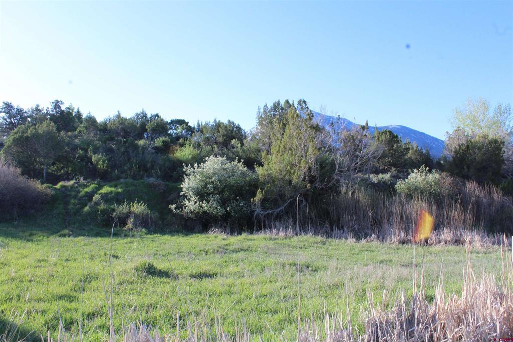 Lot 9 Gunnison Mountain Lane Paonia, CO 81428