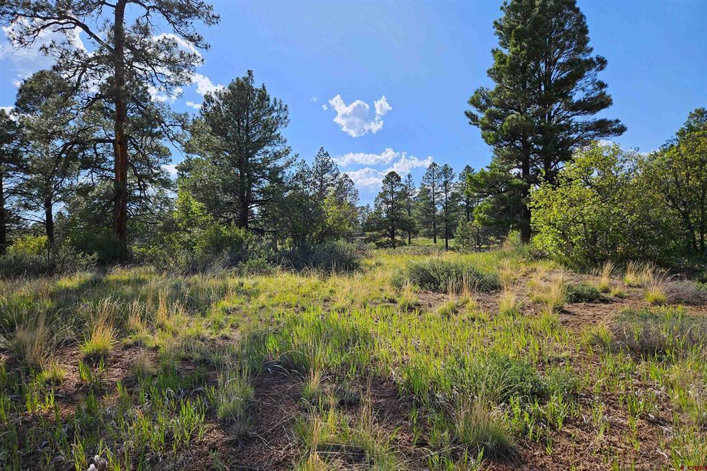 1305 Trails Boulevard Pagosa Springs, CO 81147