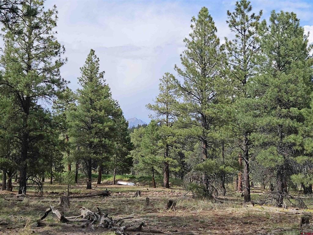 155 Monterosa Court Pagosa Springs, CO 81147