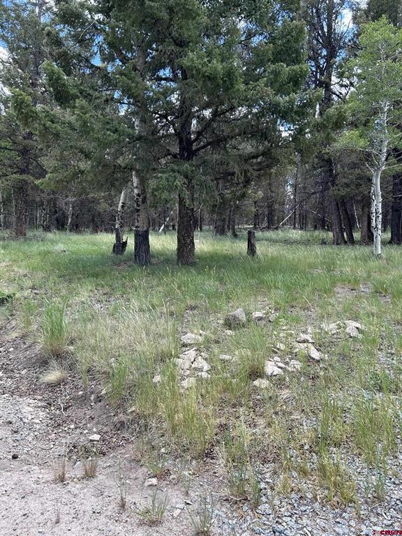 522 Monarch Rd. Powderhorn, CO 81243