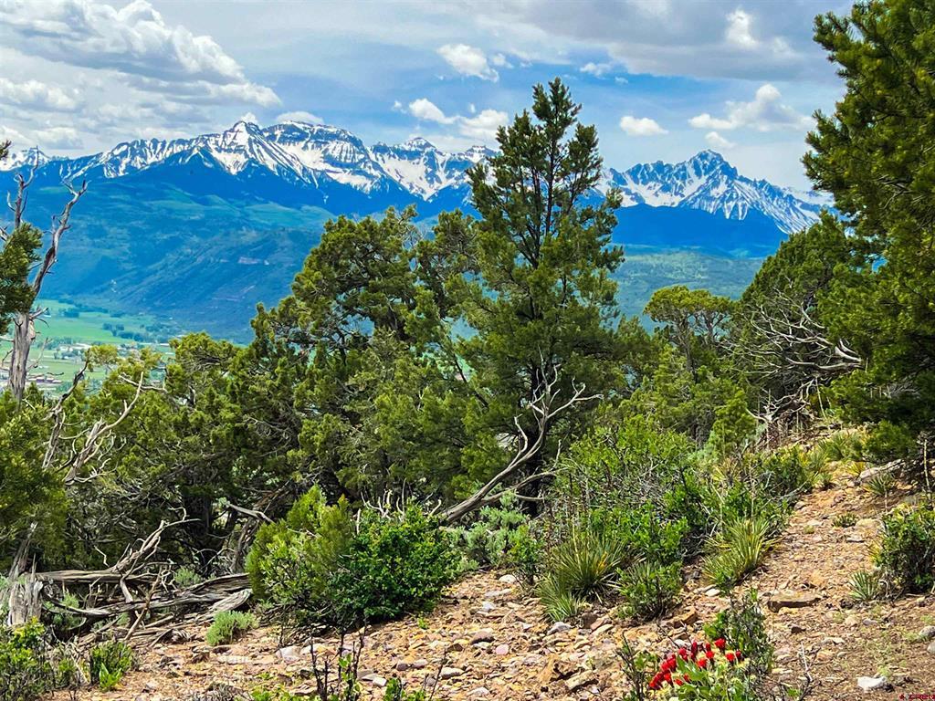 818 Pine Drive Ridgway, CO 81432