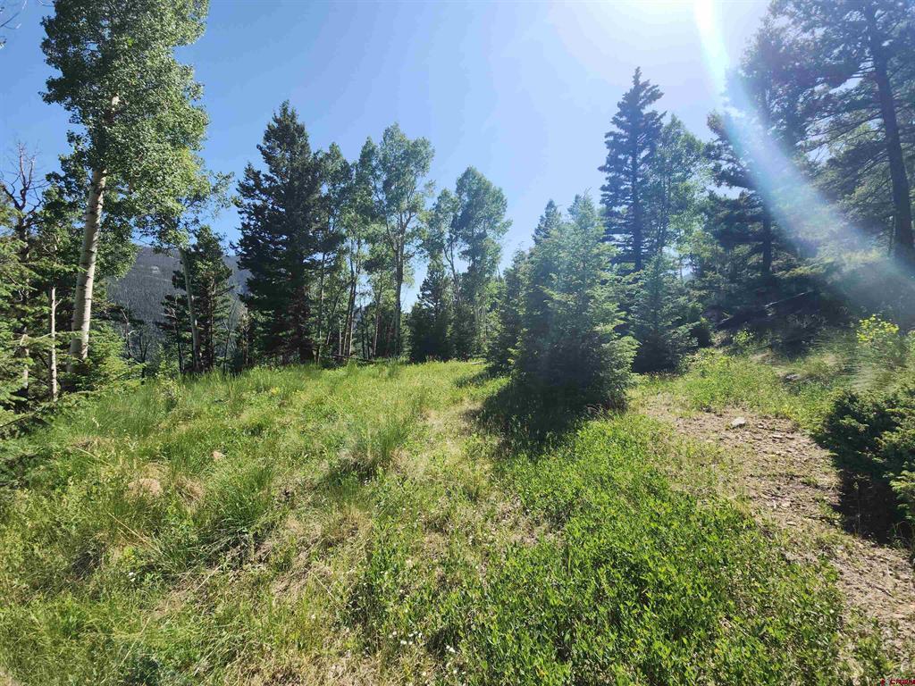(TBD) Blk 90 lots 4-6 Jasper, CO 81144