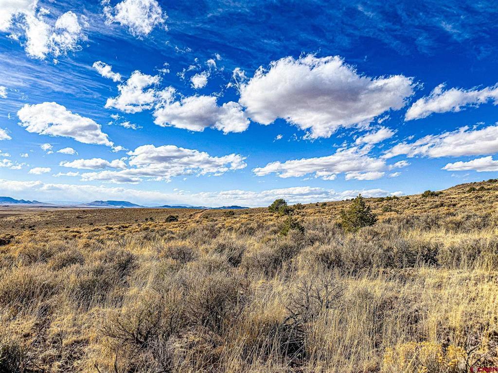 (TBD) Calvary Trail San Luis, CO 81152