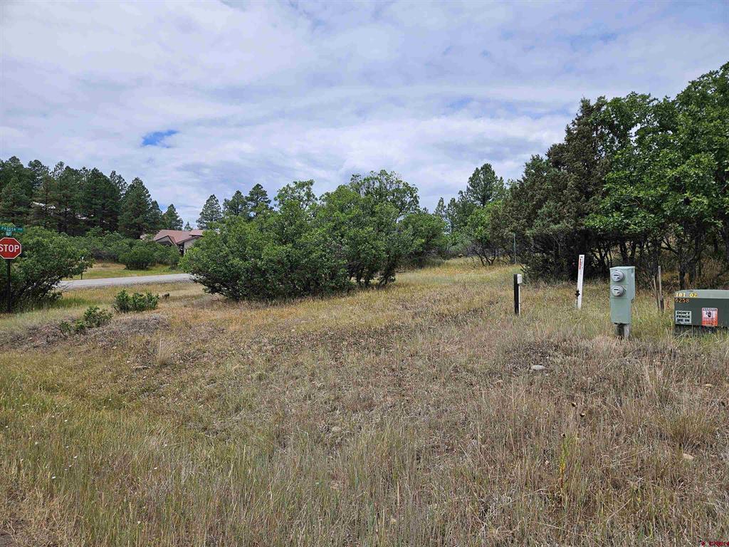 8 Caballero Drive Pagosa Springs, CO 81147