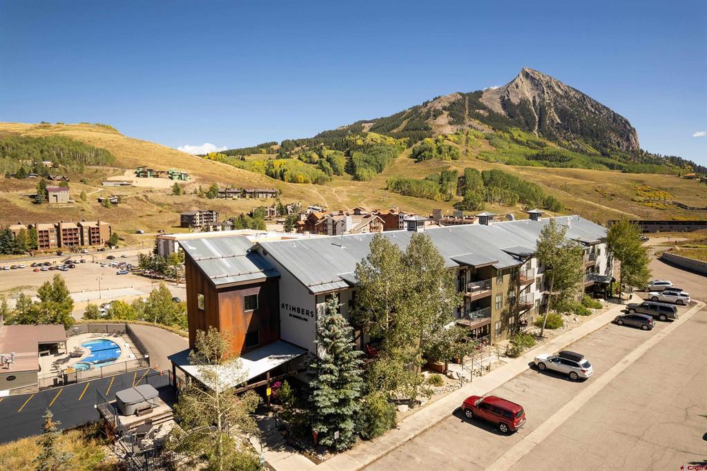 20 Marcellina Lane Mount Crested Butte, CO 81225