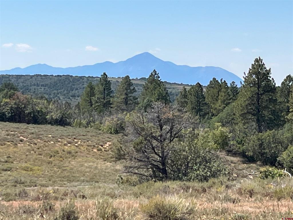 (TBD) FSR 259 Dolores, CO 81323