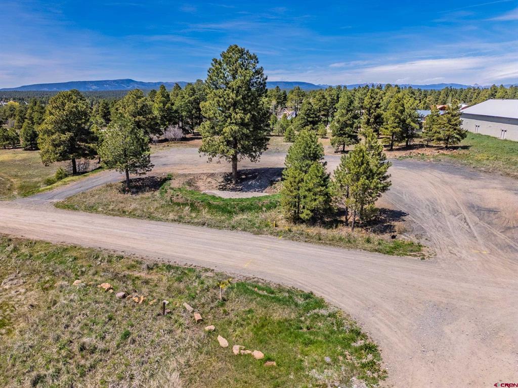 555 Bastille Drive Pagosa Springs, CO 81147