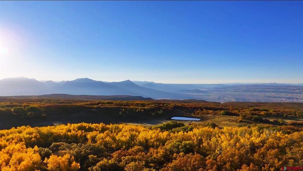33339 Oak Mesa Road Hotchkiss, CO 81419