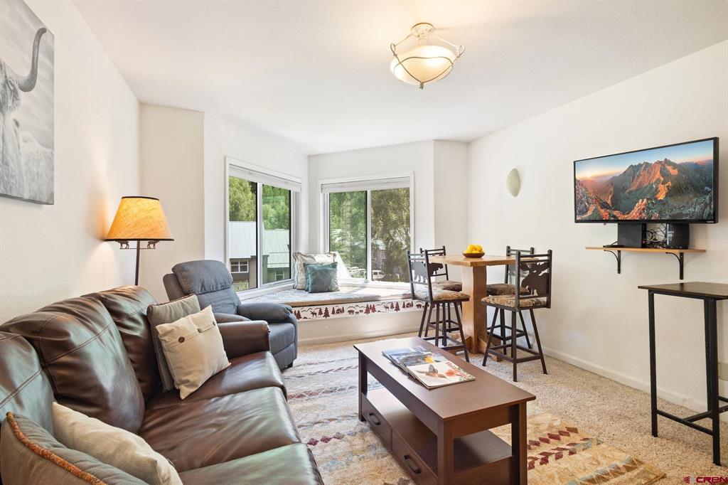 651 W Pacific Avenue Telluride, CO 81435