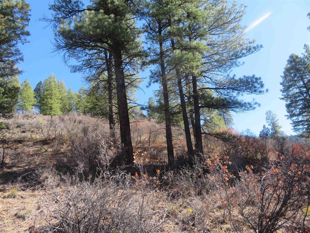 448 Evergreen Drive Pagosa Springs, CO 81147