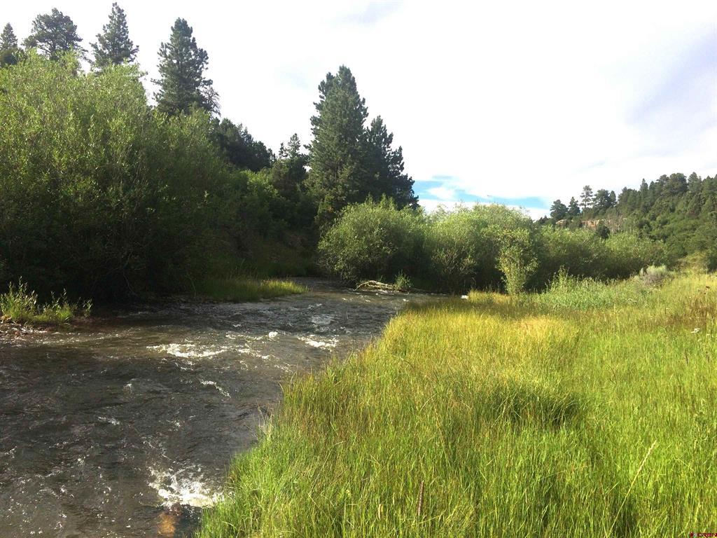 2A W. Beaver Pines Loop Norwood, CO 81423