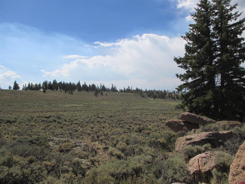 L177-179/U2 Blue Mesa Drive Powderhorn, CO 81224