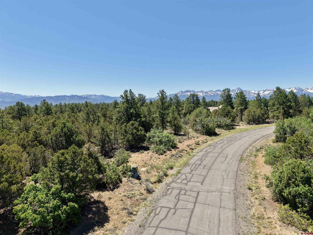 Lot 555 N Badger Trail Ridgway, CO 81432