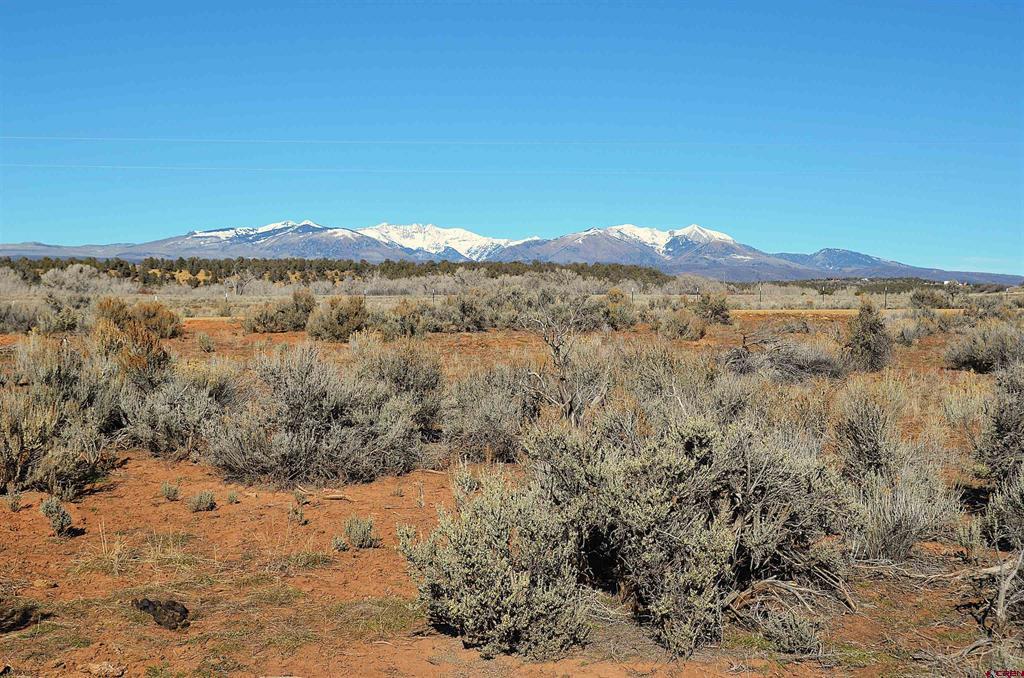 Lot 2 & 3 Mesa Lane Hesperus, CO 81326