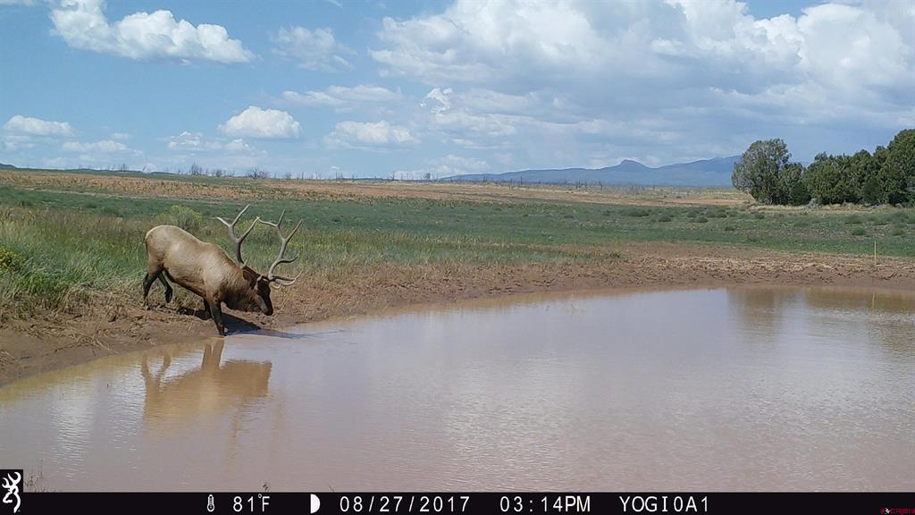(TBD) Akati Gulch Road Hesperus, CO 81326