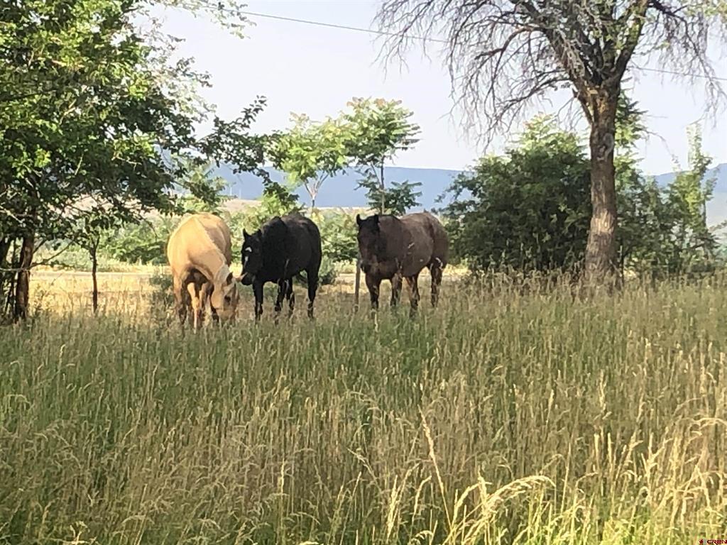 27701 BB Road Nucla, CO 81424