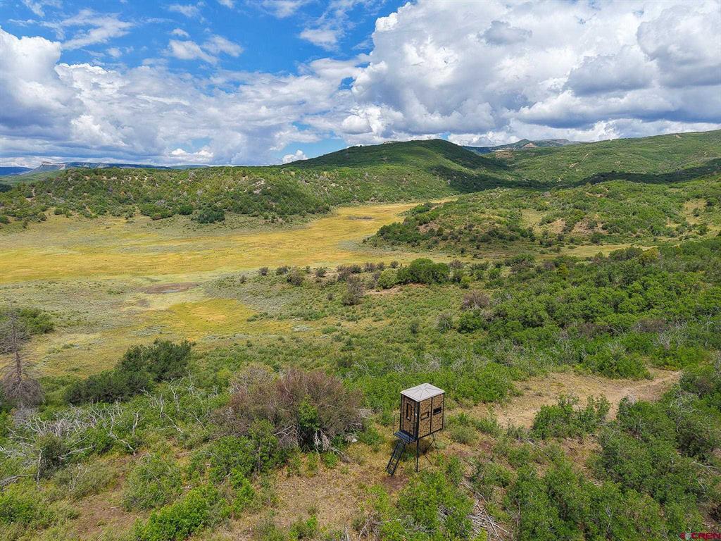 36681 Road M.5 Bugle Basin Cahone, CO 81320