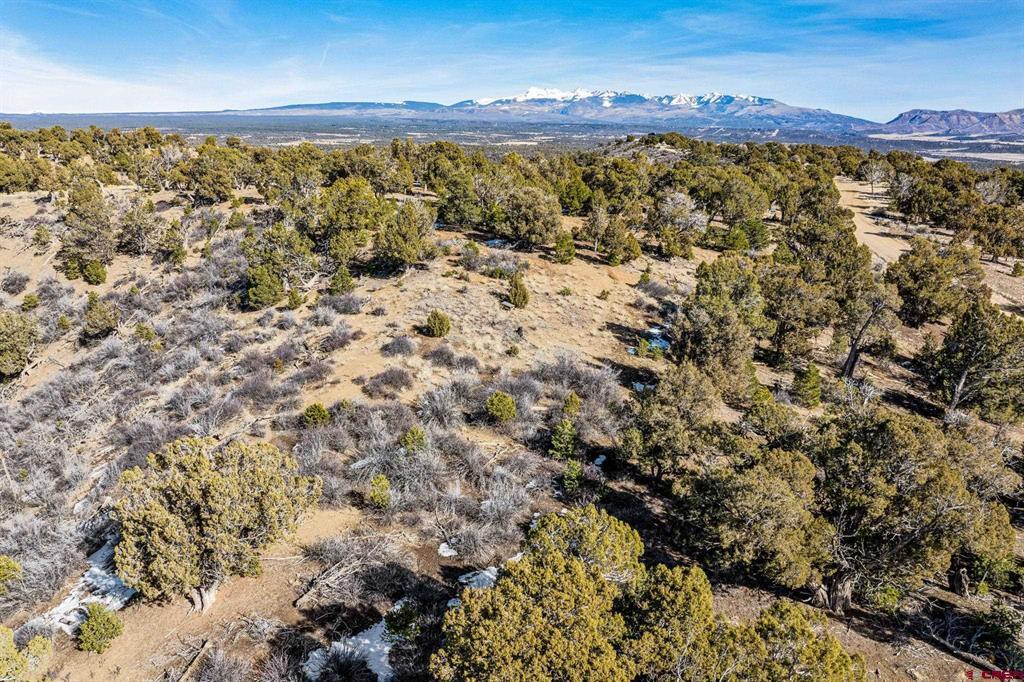 (TBD) Road 35.3 Mancos, CO 81328