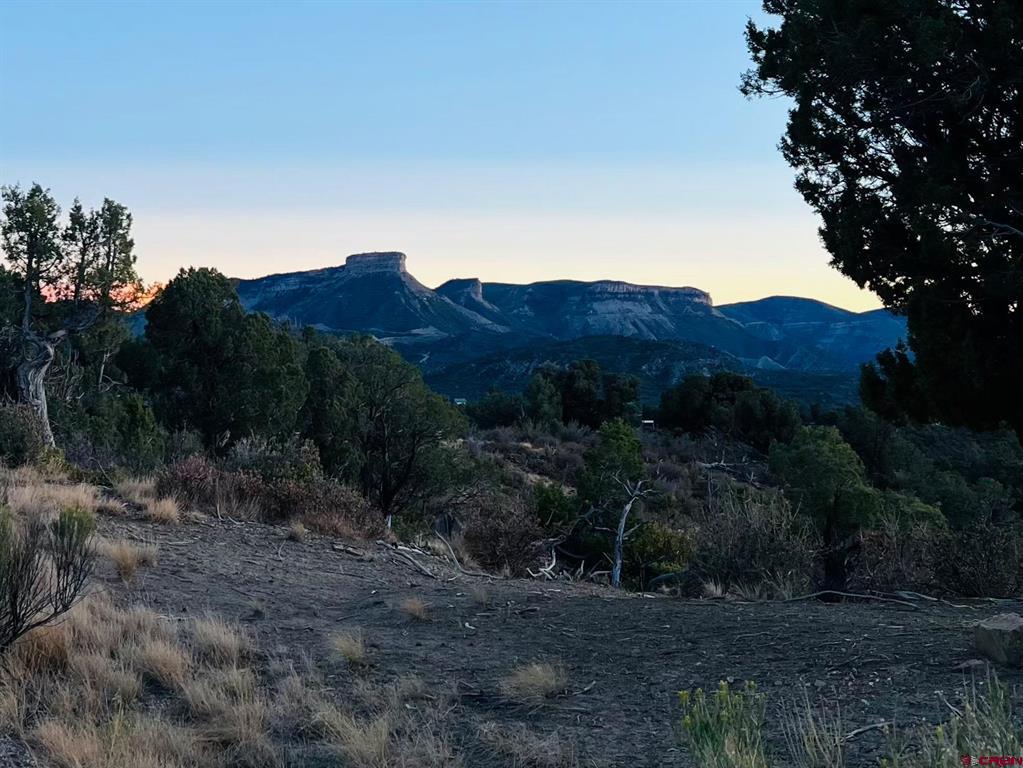 (TBD) Road 35.3 Mancos, CO 81328