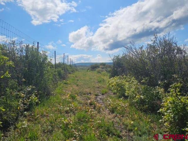 (TBD) 8250 Road Crawford, CO 81415
