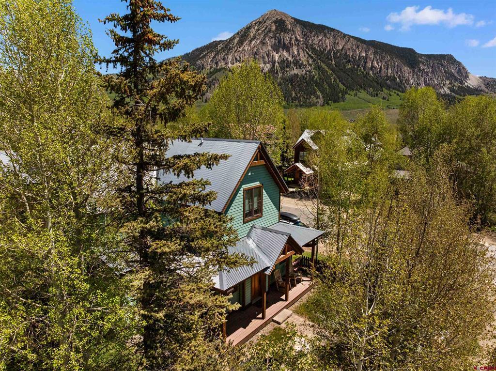 829 Red Lady Avenue Crested Butte, CO 81224