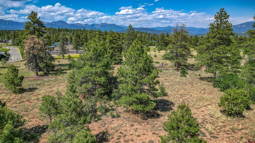 1343B Wheeler Place Pagosa Springs, CO 81147