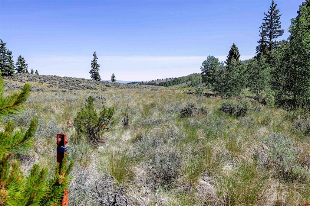 (TBD) Cochetopa Trail Powderhorn, CO 81243