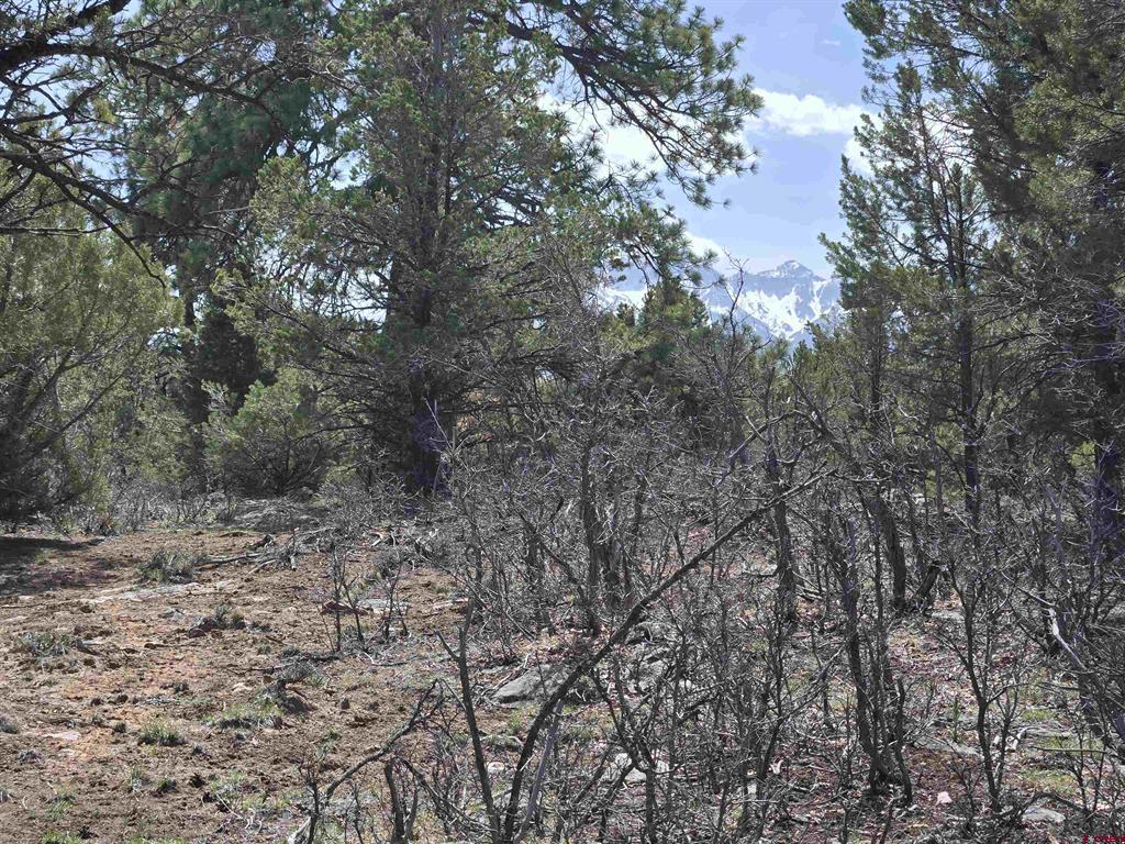 (TBD) Cottontail Lane Ridgway, CO 81432