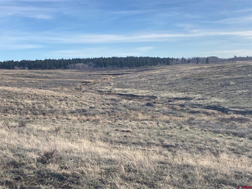Lot 12 62X Road Placerville, CO 81430