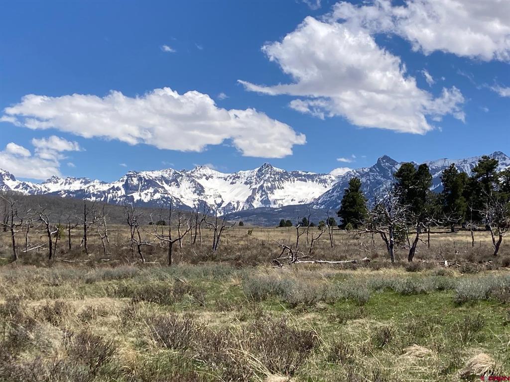 Lot 14 62X Road Placerville, CO 81430