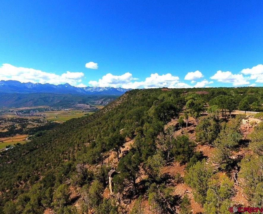(TBD) Pine Drive Ridgway, CO 81432