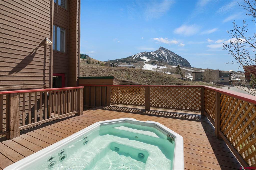25 Emmons Road Mount Crested Butte, CO 81225