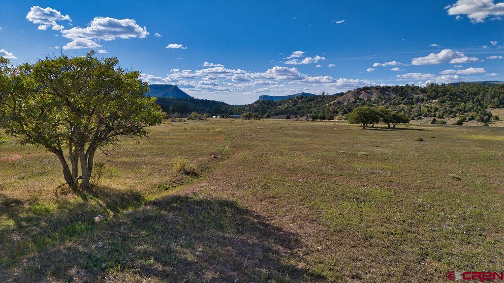 4107 Rd 31 Groundhog, CO 81324