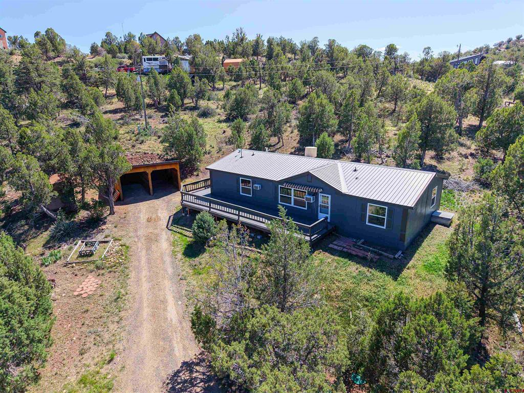 254 Deer Park Arboles, CO 81121