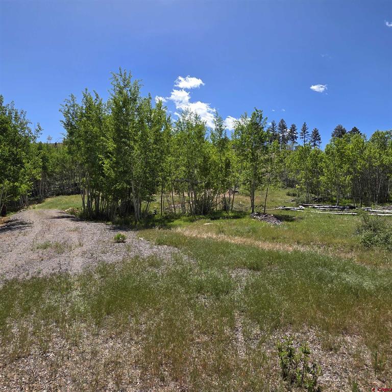 302 Rickel Circle South Fork, CO 81154