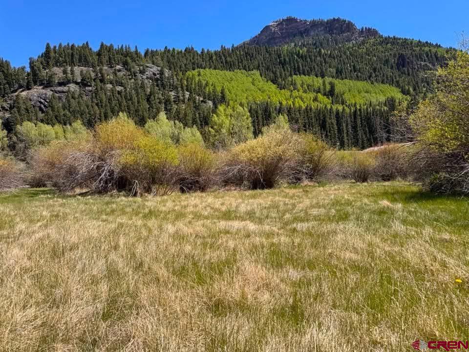 Lot 25&26 Cottonwood Drive Antonito, CO 81120