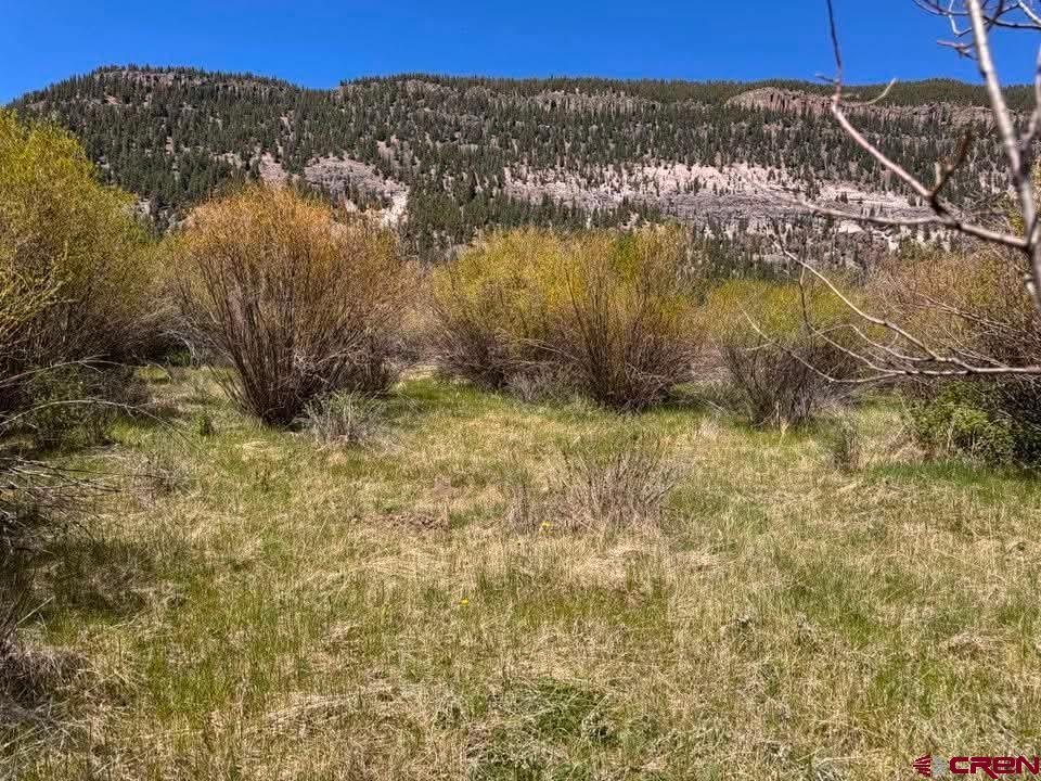 Lot 48 Cottonwood Drive Antonito, CO 81120