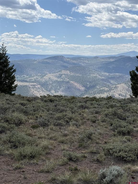 151 Trailridge Trail Powderhorn, CO 81230